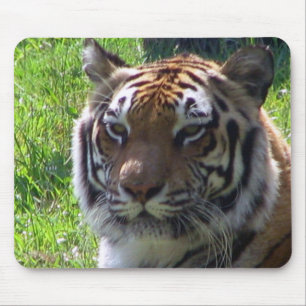 Koningin van het Oerwoud Muismat