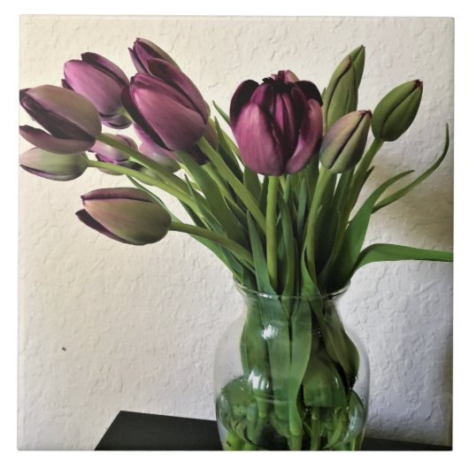 Koningin van Night Tulips Tegeltje (Voorkant)