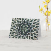 Koningin Victoria agave kaart (Gele Bloem)