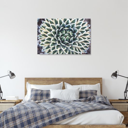 Koningin Victoria Agave, witte vorm Canvas Afdruk (Insitu (Slaapkamer))
