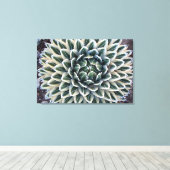 Koningin Victoria Agave, witte vorm Canvas Afdruk (Insitu (Houten vloer))