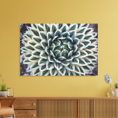 Koningin Victoria Agave, witte vorm Canvas Afdruk (Insitu (Woonkamer))