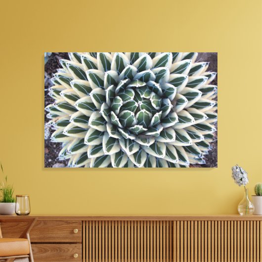 Koningin Victoria Agave, witte vorm Canvas Afdruk (Insitu (Woonkamer))
