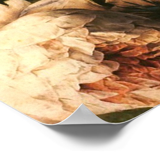  koningin Victoria Poster (Hoek)