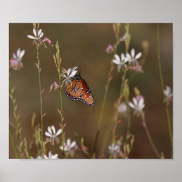 Koningin-vlinder en Milkweed Poster