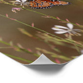 Koningin-vlinder en Milkweed Poster (Hoek)