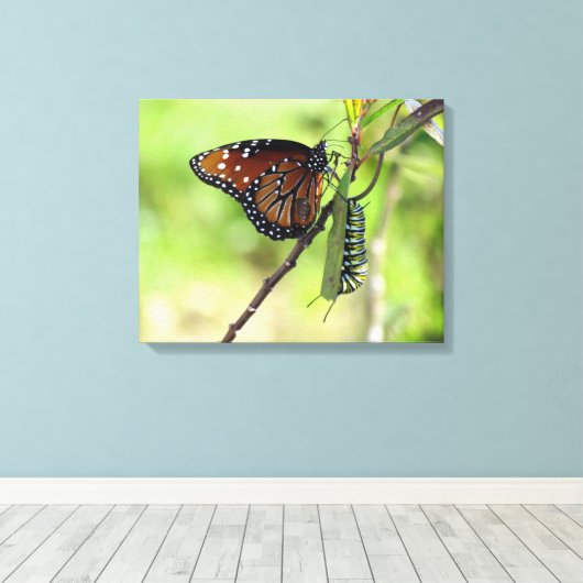 Koningin Vlinder en Monarch Caterpillar Canvas (Insitu (Houten vloer))
