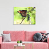 Koningin Vlinder en Monarch Caterpillar Canvas Afdruk (Insitu (Woonkamer))