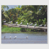 Koninginnenlampen, estuarium van de Tortuguero-riv Cadeaupapier (Vlak)