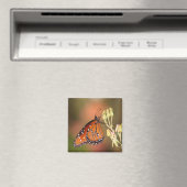 Koninginnenvlinder op een tak magneet (Insitu (Vaatwasser))