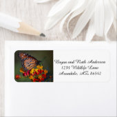 koninginnenvlinder op tropische moosenkroos etiket (Insitu)