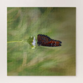 Koninginvlinder en Wilde Bloem Puzzel (Horizontaal)