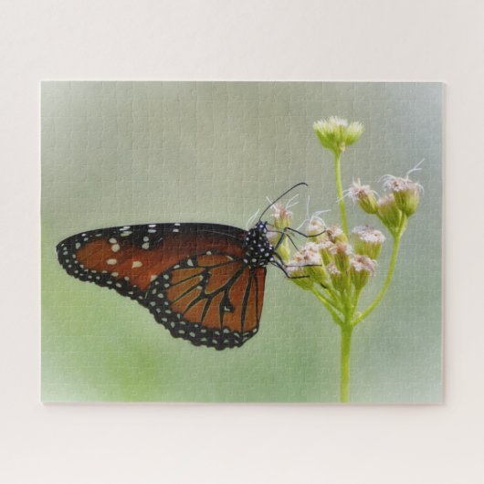 Koninginvlinder op Bloemen Natuur Grote Puzzel (Horizontaal)