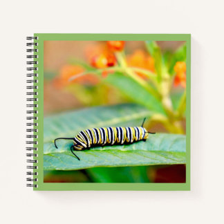 Koningrups Spiraal Notebook Notitieboek