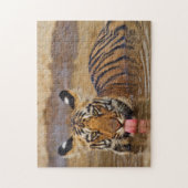 Konings tijgerwelp, water drinkend legpuzzel (Verticaal)