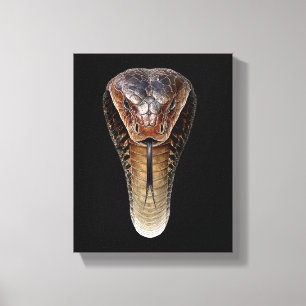 Koningscobra Canvas Afdruk