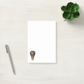 Koningscobra Post-it® Notes (Kantoor)