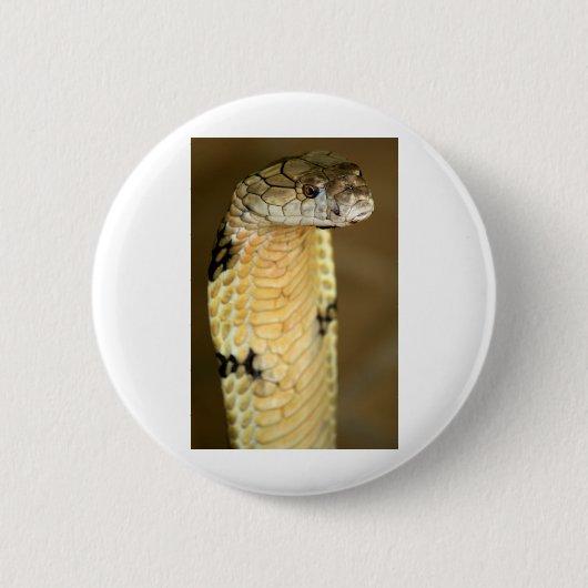 koningscobra ronde button 5,7 cm (Voorkant)