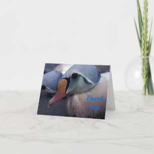 koningseider mannetje dank je kaart