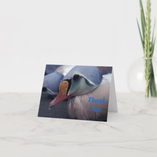 koningseider mannetje dank je kaart (Voorkant)
