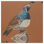 Koningskwartel Stof (Close Up)