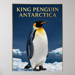 🐧 Koningspinguïn Antarctica Wilde dieren Poster