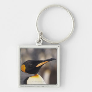 Koningspinguïn (Aptenodytes patagonicus) Sleutelhanger
