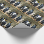 Koningspinguïn Cadeaupapier (Hoek)