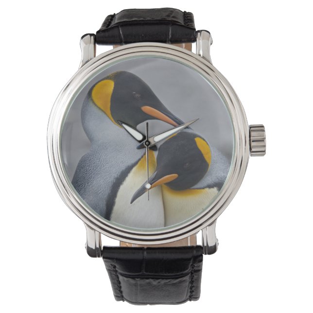 Koningspinguïn Duet Horloge (Voorkant)