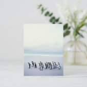 Koningspinguïns (Aptenodytes patagonicus) Briefkaart (Staand voorkant)