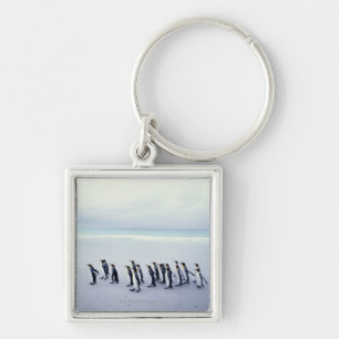 Koningspinguïns (Aptenodytes patagonicus) Sleutelhanger