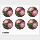 Koningsprotea (Protea Cynaroides), Helderberg Ronde Sticker (Vel)