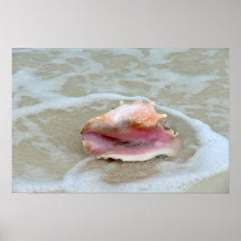 Koningsschelp in de branding, Bahama's Poster