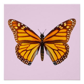 Koningvlinder Tuin Natuur Wandkunst Perfect Poster