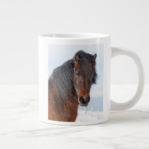 Koninklijk IJslands Paard Portretfoto Grote Koffiekop