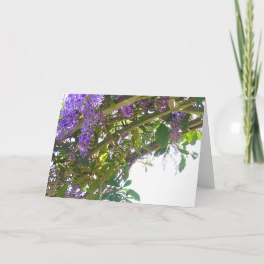 Koninklijk Latwerk Kaart (Voorkant)