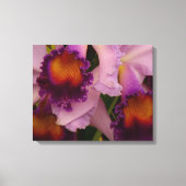 Koninklijk Paars Cattleya Orchid Canvas Afdruk (Voorkant)