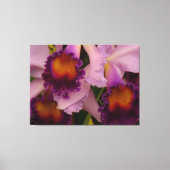 Koninklijk Paars Cattleya Orchid Canvas Afdruk (Voorkant)