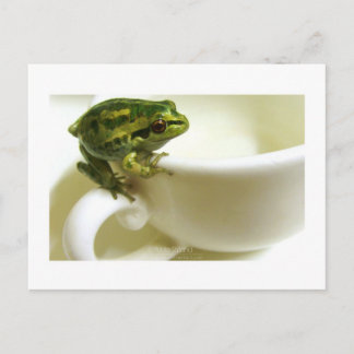 koninklijk theater briefkaart