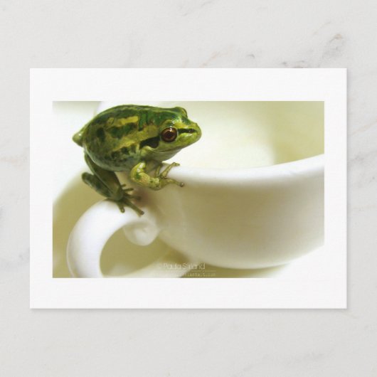 koninklijk theater briefkaart (Voorkant)