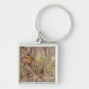 Koninklijke Bengaalse tijger klimt in de boom, Sleutelhanger
