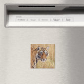 Koninklijke Bengaalse Tijger Magneet (Insitu (Vaatwasser))