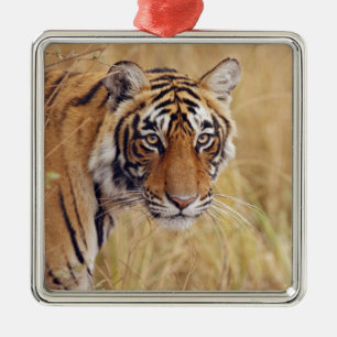 Koninklijke Bengaalse Tijger Metalen Ornament
