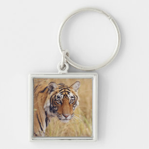 Koninklijke Bengaalse Tijger Sleutelhanger