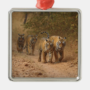 Koninklijke Bengaalse tijgers op de been, Ranthamb Metalen Ornament
