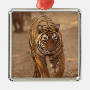 Koninklijke Bengaalse tijgers op het spoor, Rantha Metalen Ornament