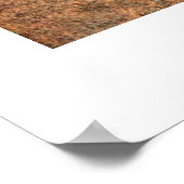 Koninklijke Canadese politieagent Poster (Hoek)