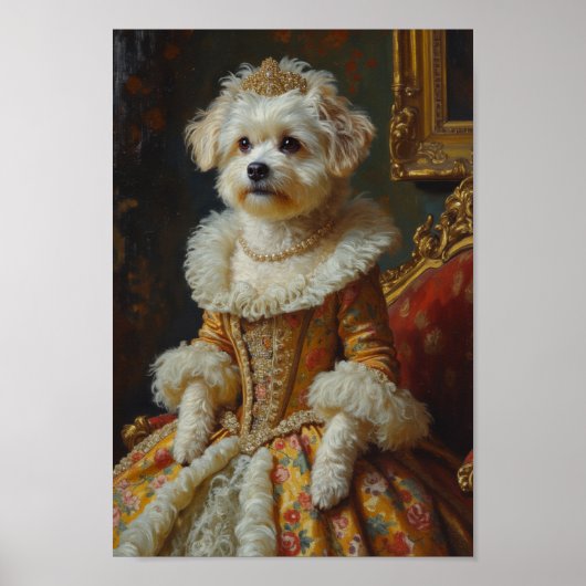 Koninklijke Coton de Tulear Portret Poster (Voorkant)