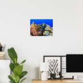 Koninklijke engelvis Pygoplites diacanthus), Poster (Thuiskantoor)