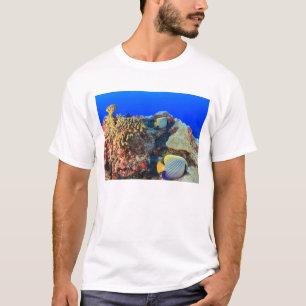 Koninklijke engelvis Pygoplites diacanthus), T-shirt
